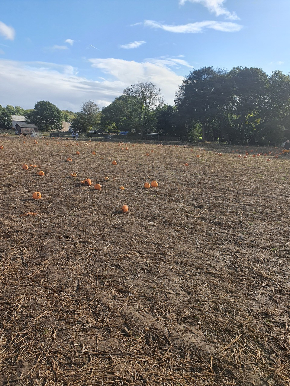 Fwd:			
					</div><!-- .entry-content -->
		
		<footer>
		
		
		
					
					</footer><!-- .entry-meta -->
	</article><!-- #post -->
				
											
				
		
<hr class=