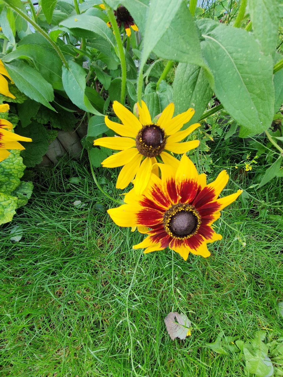 Fwd:			
					</div><!-- .entry-content -->
		
		<footer>
		
		
		
					
					</footer><!-- .entry-meta -->
	</article><!-- #post -->
				
											
				
		
<hr class=