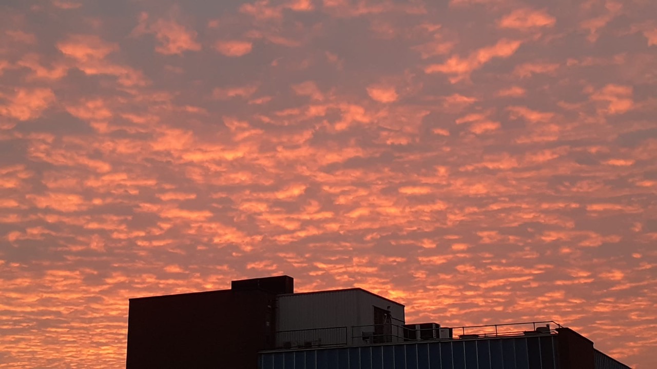 Fwd: Keith Bradshaw wisewood			
					</div><!-- .entry-content -->
		
		<footer>
		
		
		
					
					</footer><!-- .entry-meta -->
	</article><!-- #post -->
				
											
				
		
<hr class=