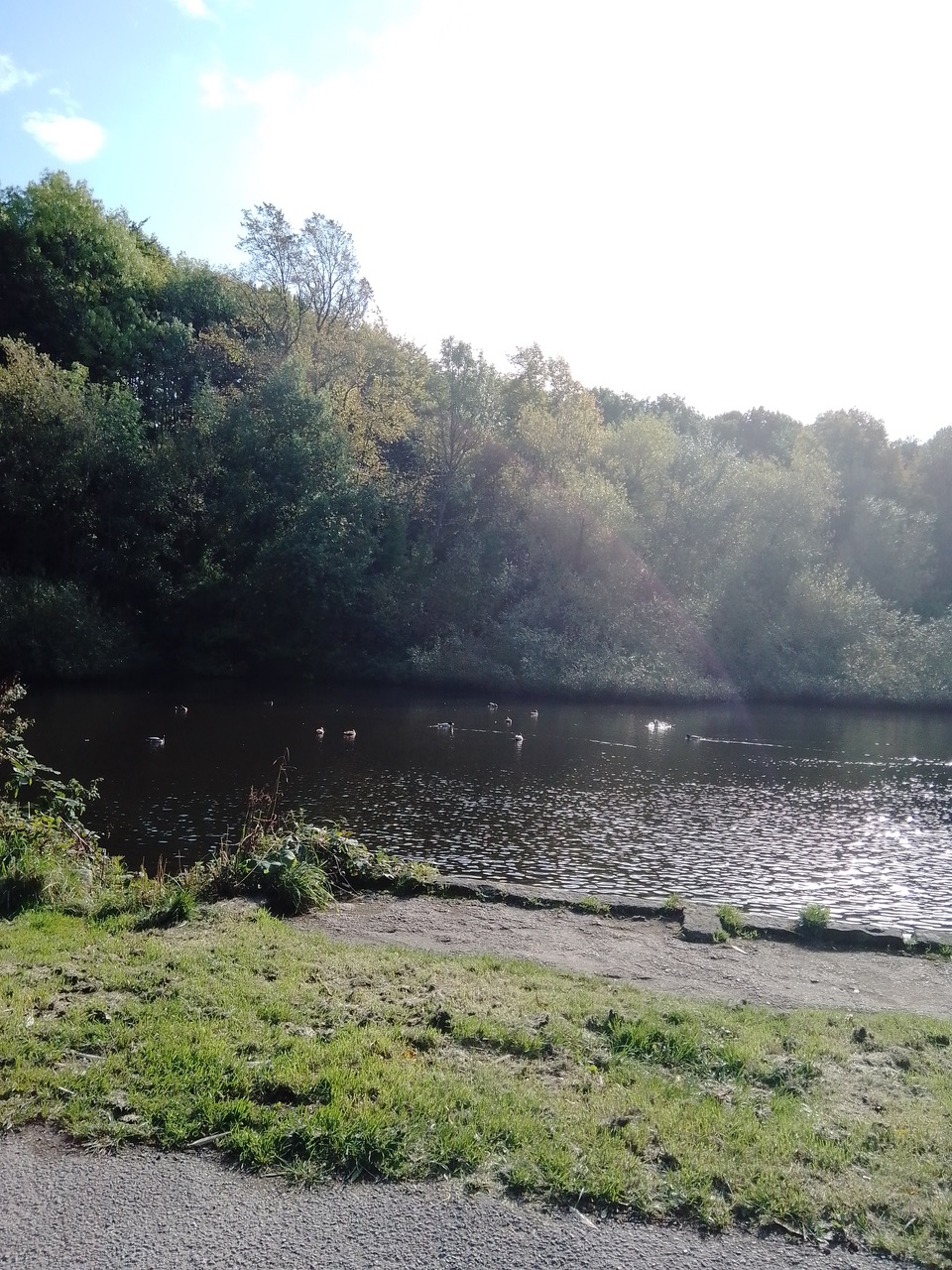 Fwd: Rivelin			
					</div><!-- .entry-content -->
		
		<footer>
		
		
		
					
					</footer><!-- .entry-meta -->
	</article><!-- #post -->
				
											
				
		
<hr class=