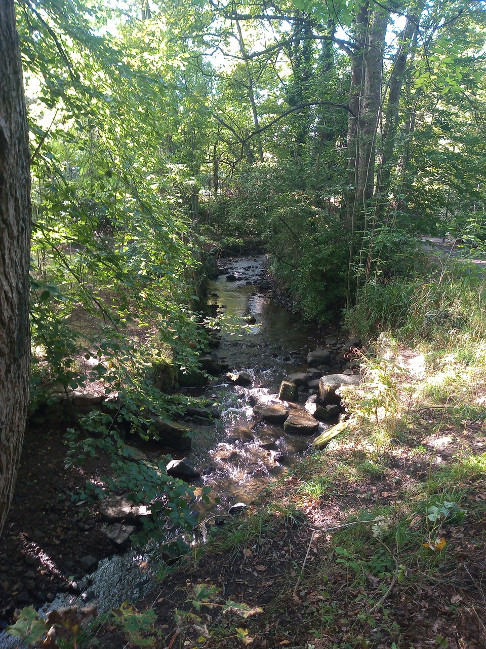 Fwd: Encliffe park by shona			
					</div><!-- .entry-content -->
		
		<footer>
		
		
		
					
					</footer><!-- .entry-meta -->
	</article><!-- #post -->
				
											
				
		
<hr class=