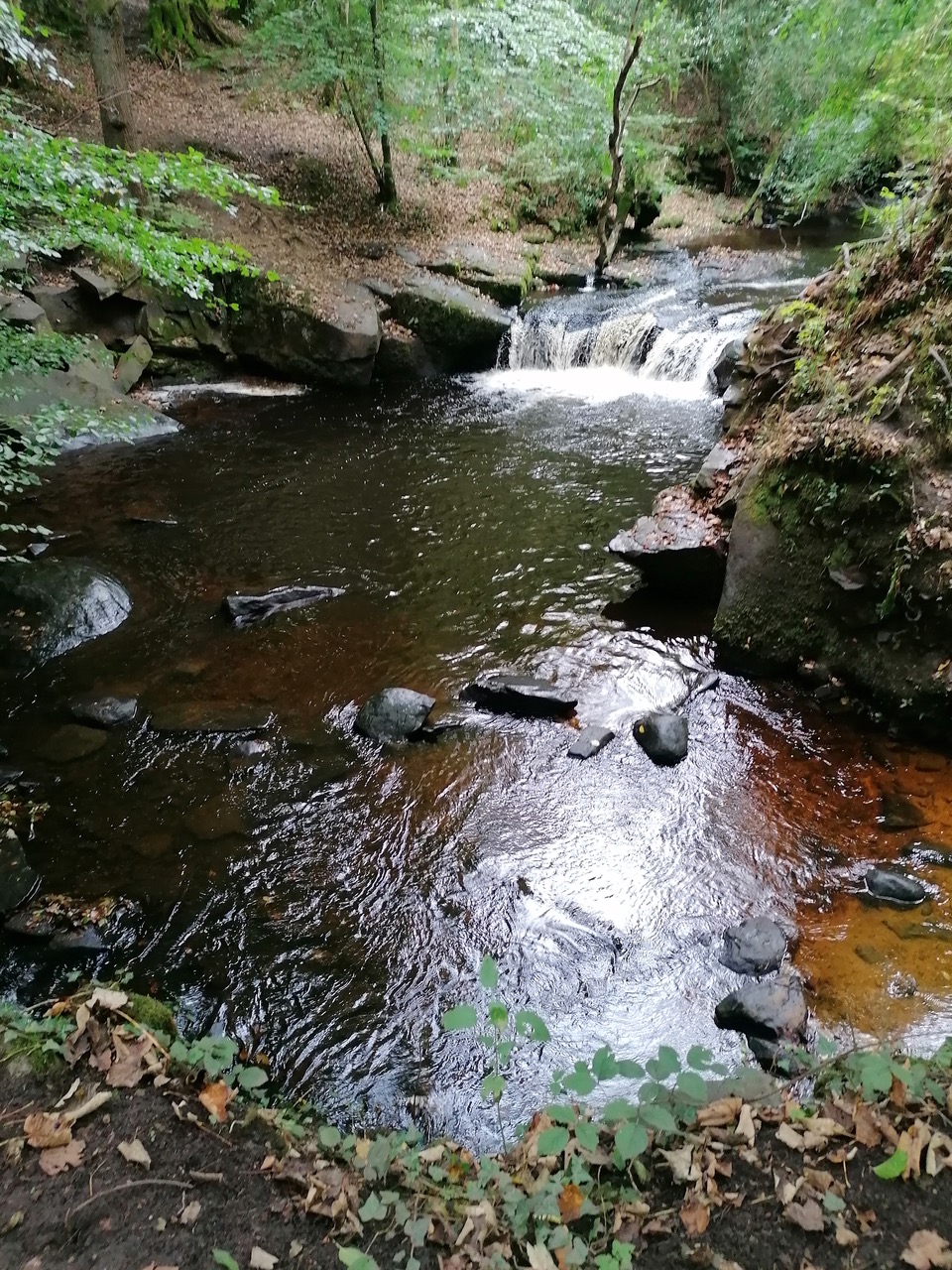 Fwd: Autumn in Rivelin by Vee Jay			
					</div><!-- .entry-content -->
		
		<footer>
		
		
		
					
					</footer><!-- .entry-meta -->
	</article><!-- #post -->
				
											
				
		
<hr class=