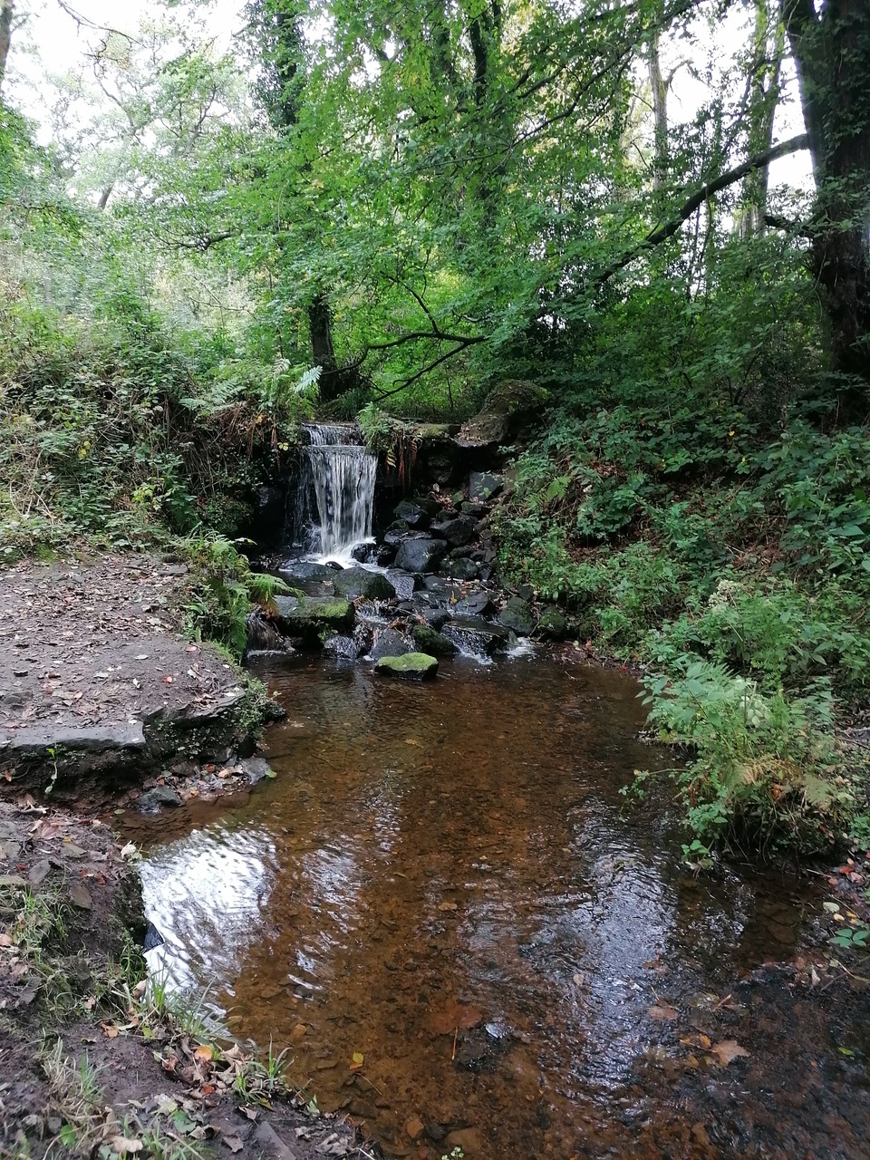 Fwd: Rivelin by Vee Jay			
					</div><!-- .entry-content -->
		
		<footer>
		
		
		
					
					</footer><!-- .entry-meta -->
	</article><!-- #post -->
				
											
				
		
<hr class=