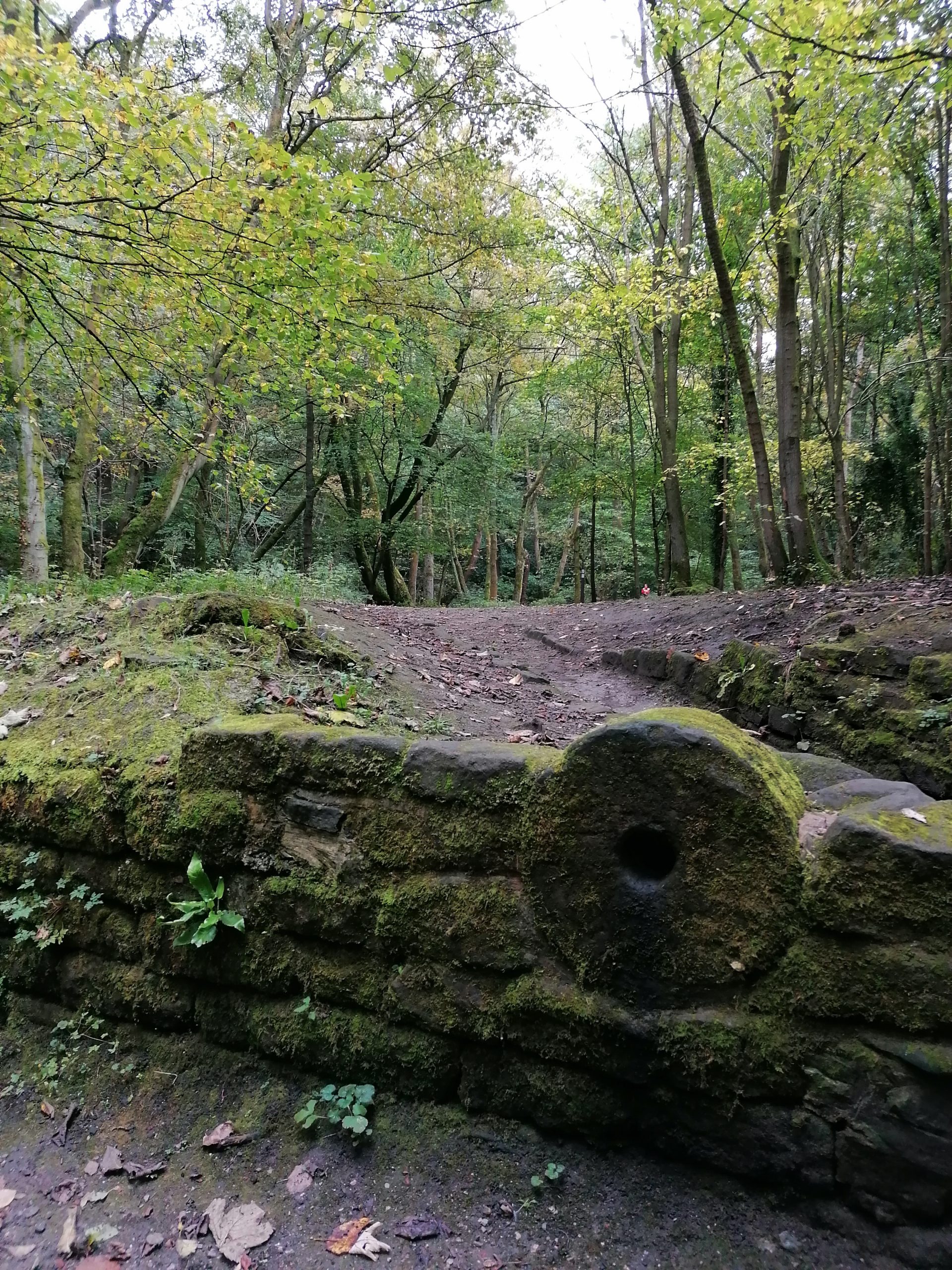 Fwd: Rivelin by Vee Jay			
					</div><!-- .entry-content -->
		
		<footer>
		
		
		
					
					</footer><!-- .entry-meta -->
	</article><!-- #post -->
				
											
				
		
<hr class=