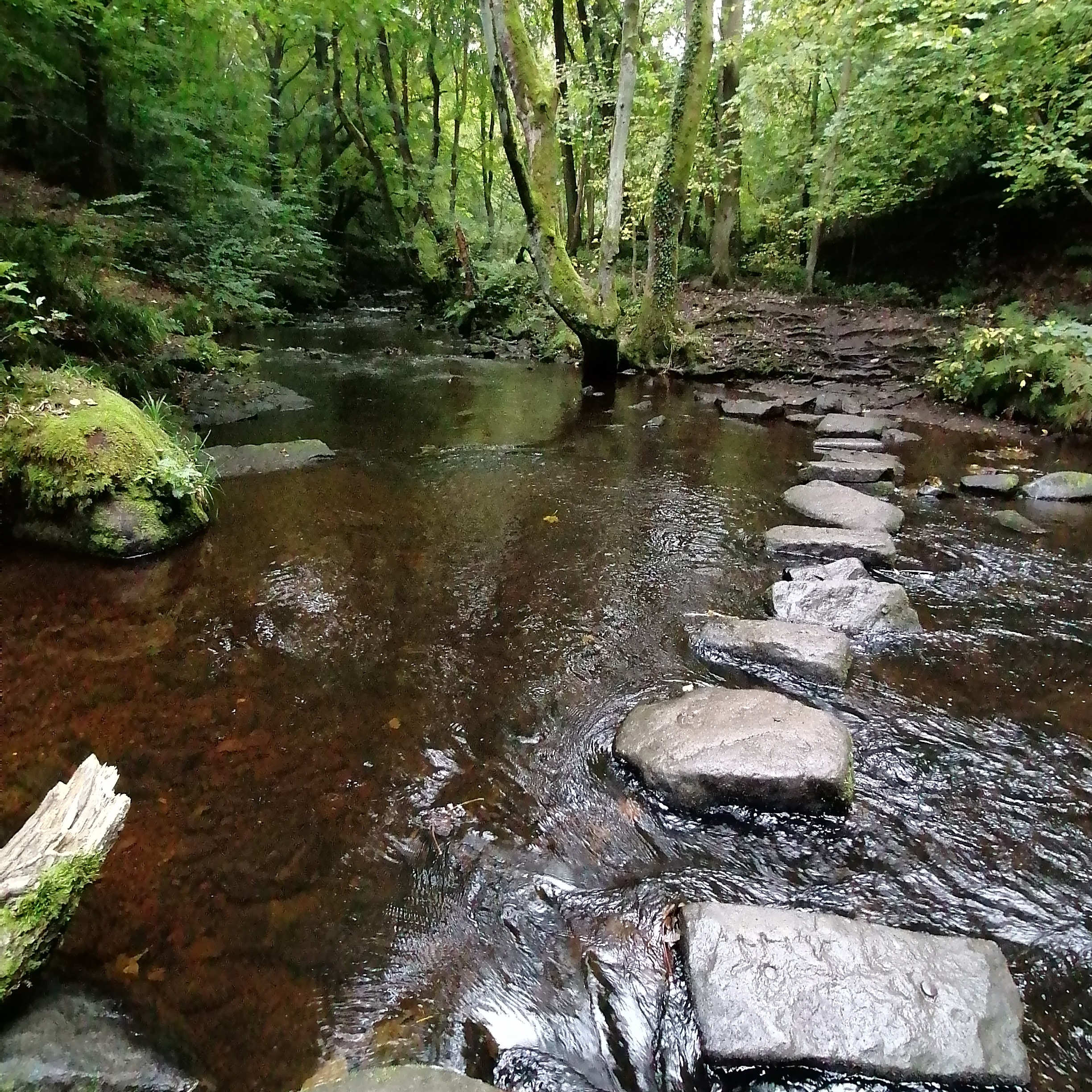 Fwd: By vee jay			
					</div><!-- .entry-content -->
		
		<footer>
		
		
		
					
					</footer><!-- .entry-meta -->
	</article><!-- #post -->
				
											
				
		
<hr class=