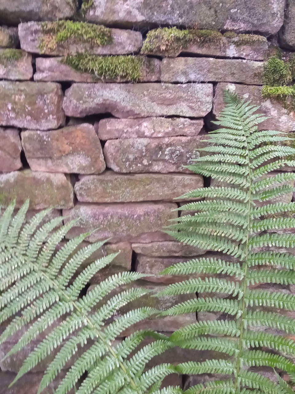 Fwd: Dry stone wall by shona			
					</div><!-- .entry-content -->
		
		<footer>
		
		
		
					
					</footer><!-- .entry-meta -->
	</article><!-- #post -->
				
											
				
		
<hr class=