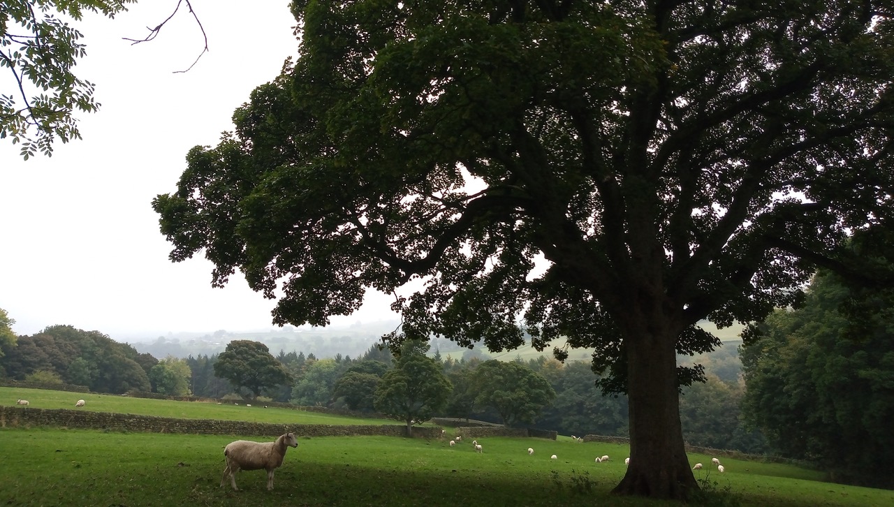 Fwd: Loxley by shona			
					</div><!-- .entry-content -->
		
		<footer>
		
		
		
					
					</footer><!-- .entry-meta -->
	</article><!-- #post -->
				
											
				
		
<hr class=