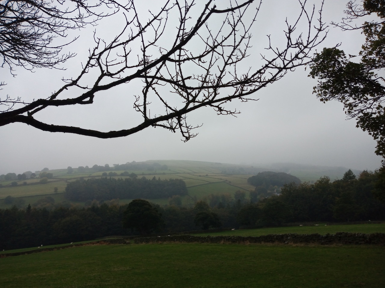 Fwd: Loxley valley by shona			
					</div><!-- .entry-content -->
		
		<footer>
		
		
		
					
					</footer><!-- .entry-meta -->
	</article><!-- #post -->
				
											
				
		
<hr class=