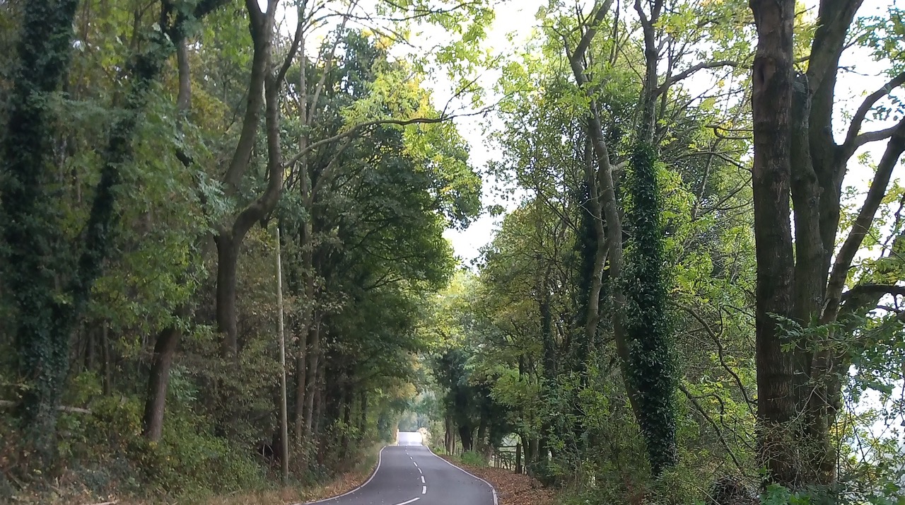 Fwd: Loxley road by shona			
					</div><!-- .entry-content -->
		
		<footer>
		
		
		
					
					</footer><!-- .entry-meta -->
	</article><!-- #post -->
				
											
				
		
<hr class=