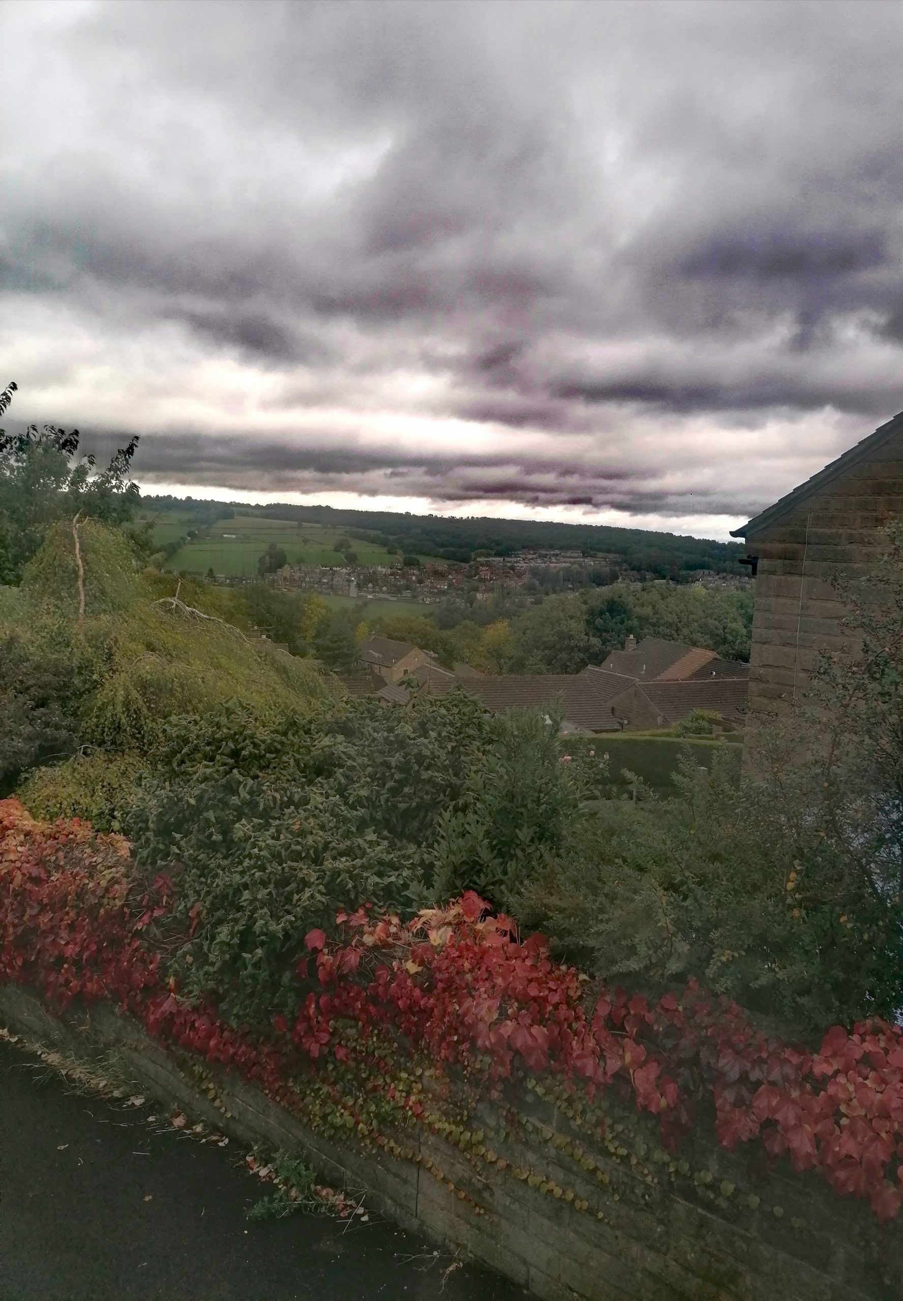 Fwd: Feim Robin Hood looking over Loxley by Vee Jay			
					</div><!-- .entry-content -->
		
		<footer>
		
		
		
					
					</footer><!-- .entry-meta -->
	</article><!-- #post -->
				
											
				
		
<hr class=