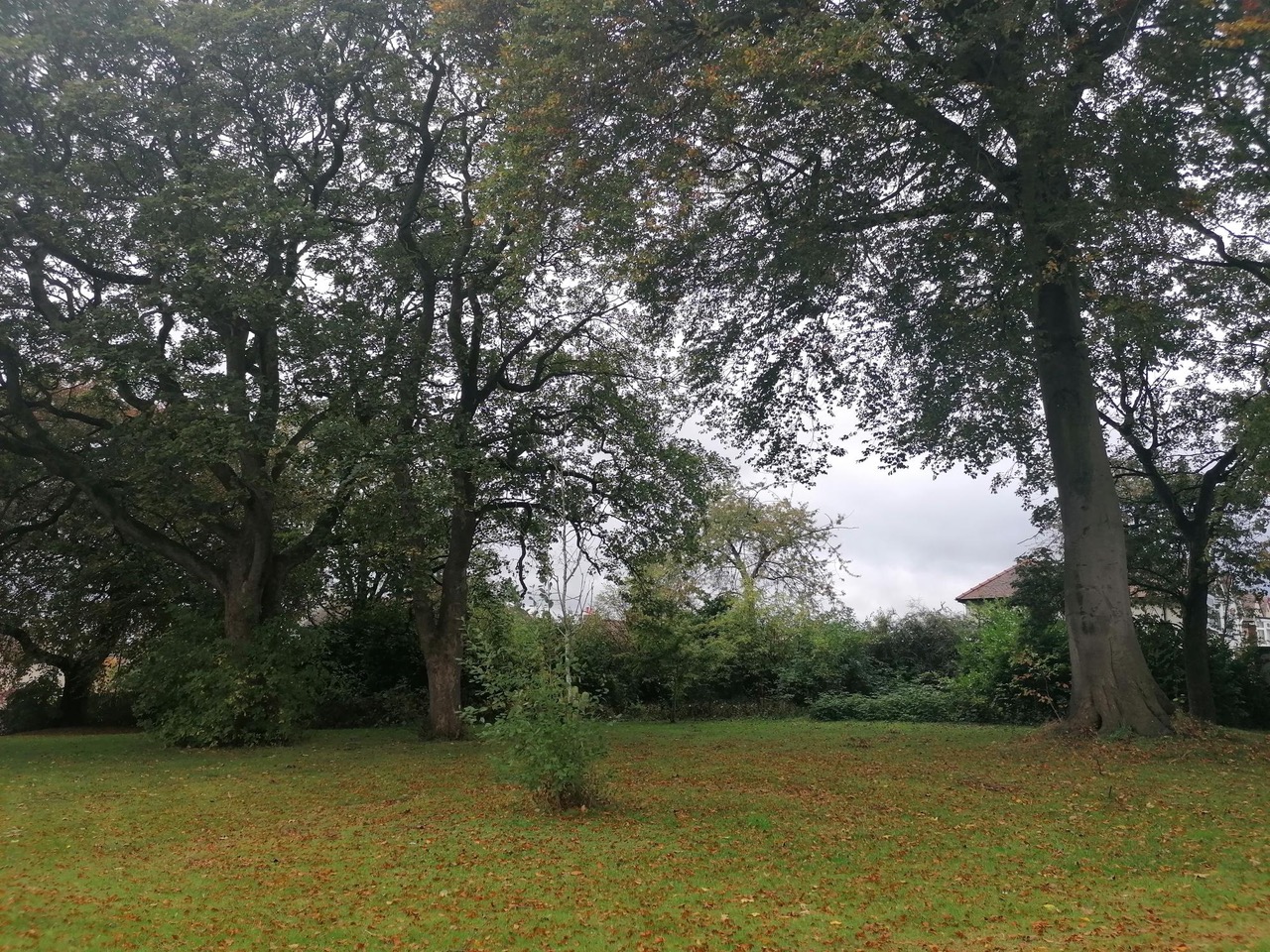 Fwd: Wisewood by Vee Jay			
					</div><!-- .entry-content -->
		
		<footer>
		
		
		
					
					</footer><!-- .entry-meta -->
	</article><!-- #post -->
				
											
				
		
<hr class=