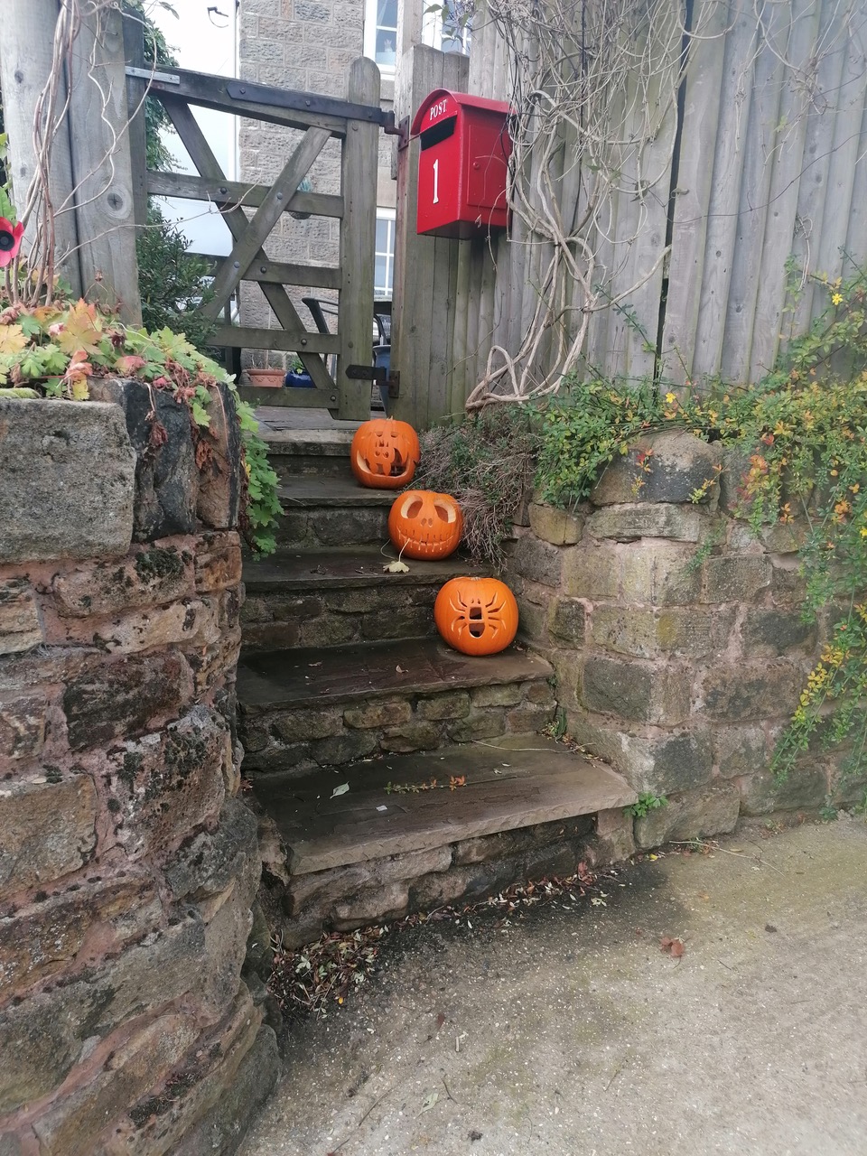 Fwd: Stannington Village by Vee Jay			
					</div><!-- .entry-content -->
		
		<footer>
		
		
		
					
					</footer><!-- .entry-meta -->
	</article><!-- #post -->
				
											
				
		
<hr class=