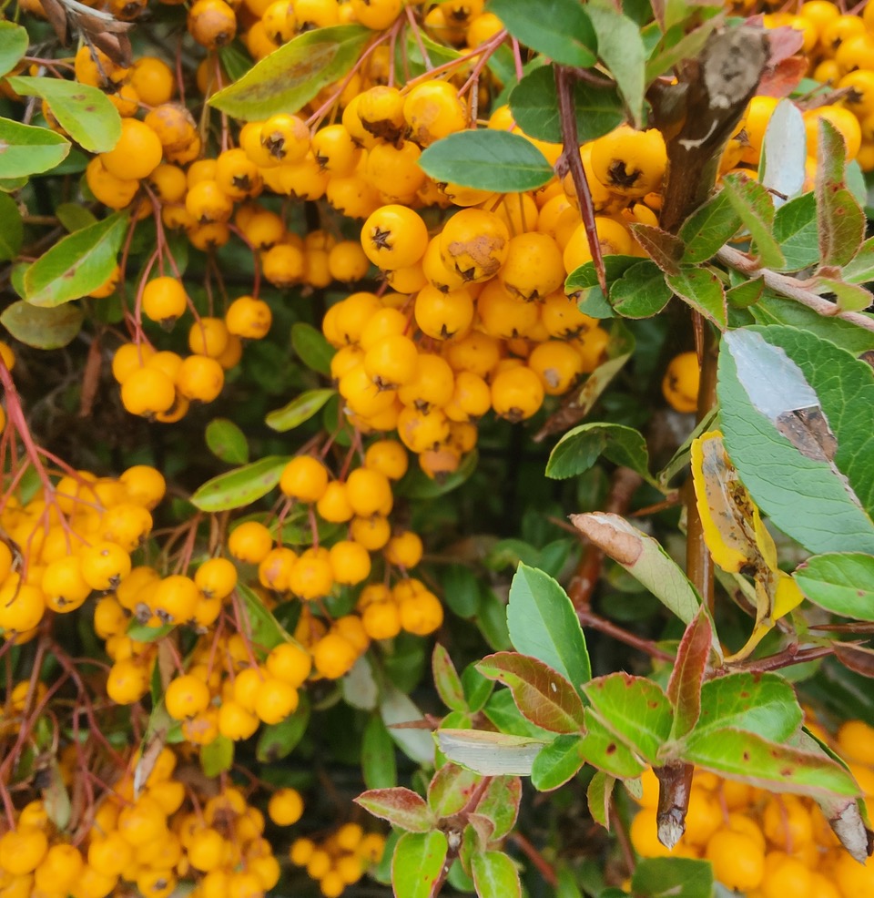 Fwd:			
					</div><!-- .entry-content -->
		
		<footer>
		
		
		
					
					</footer><!-- .entry-meta -->
	</article><!-- #post -->
				
											
				
		
<hr class=