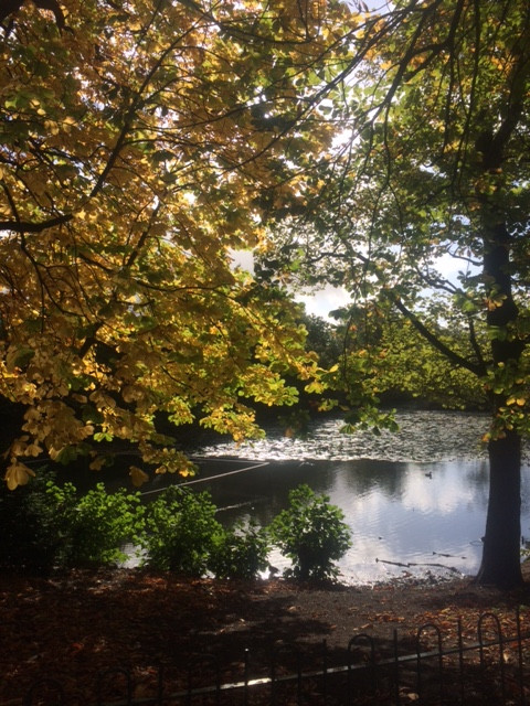 Fwd: Graves Park			
					</div><!-- .entry-content -->
		
		<footer>
		
		
		
					
					</footer><!-- .entry-meta -->
	</article><!-- #post -->
				
											
				
		
<hr class=