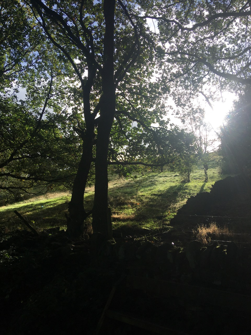 Fwd: Boggard Lane, Oughtibridge			
					</div><!-- .entry-content -->
		
		<footer>
		
		
		
					
					</footer><!-- .entry-meta -->
	</article><!-- #post -->
				
											
				
		
<hr class=