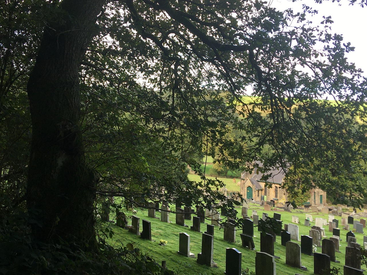 Fwd: Boggard Lane. Oughtibridge			
					</div><!-- .entry-content -->
		
		<footer>
		
		
		
					
					</footer><!-- .entry-meta -->
	</article><!-- #post -->
				
											
				
		
<hr class=