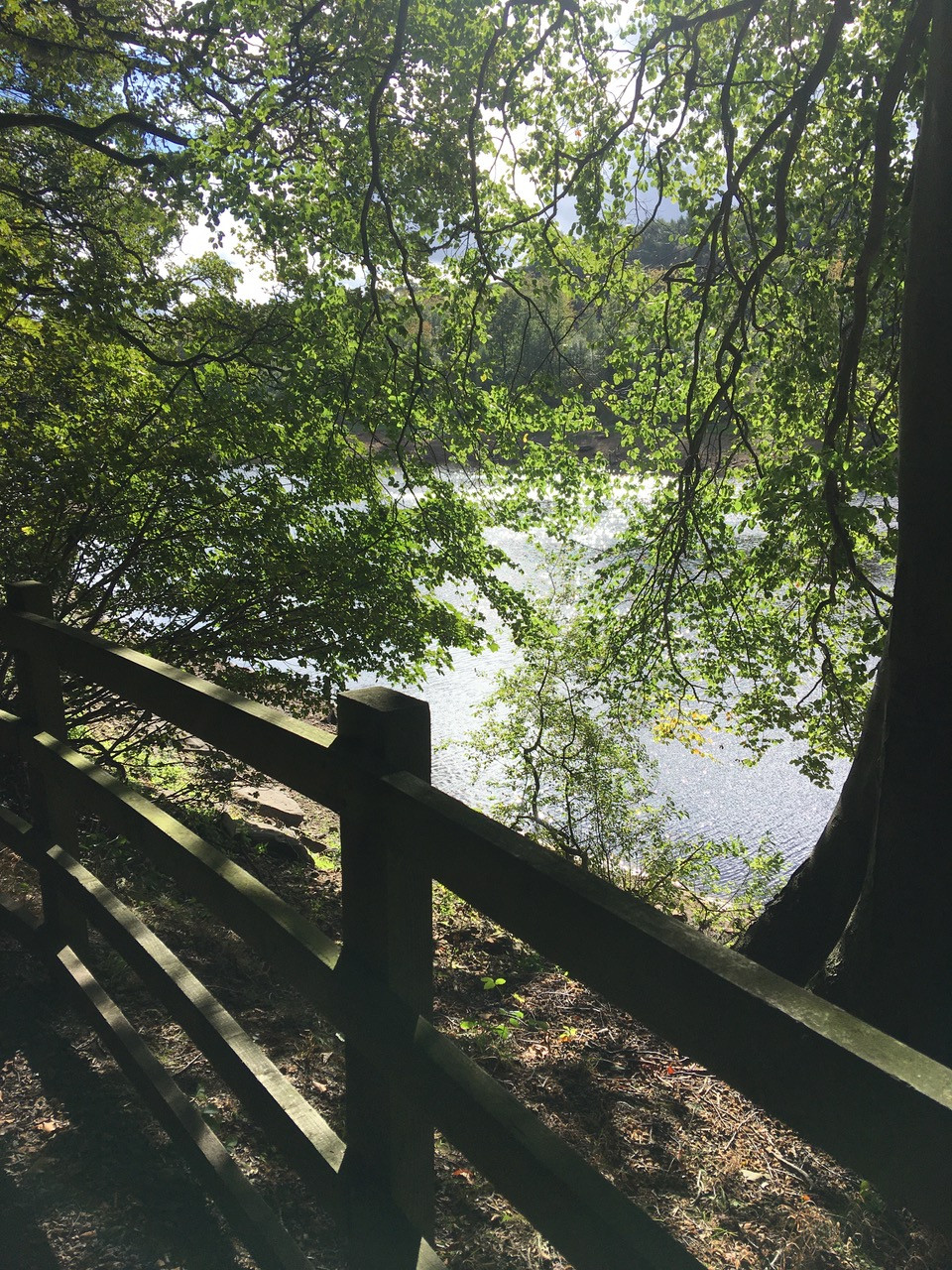 Fwd: Dam  flask			
					</div><!-- .entry-content -->
		
		<footer>
		
		
		
					
					</footer><!-- .entry-meta -->
	</article><!-- #post -->
				
											
				
		
<hr class=