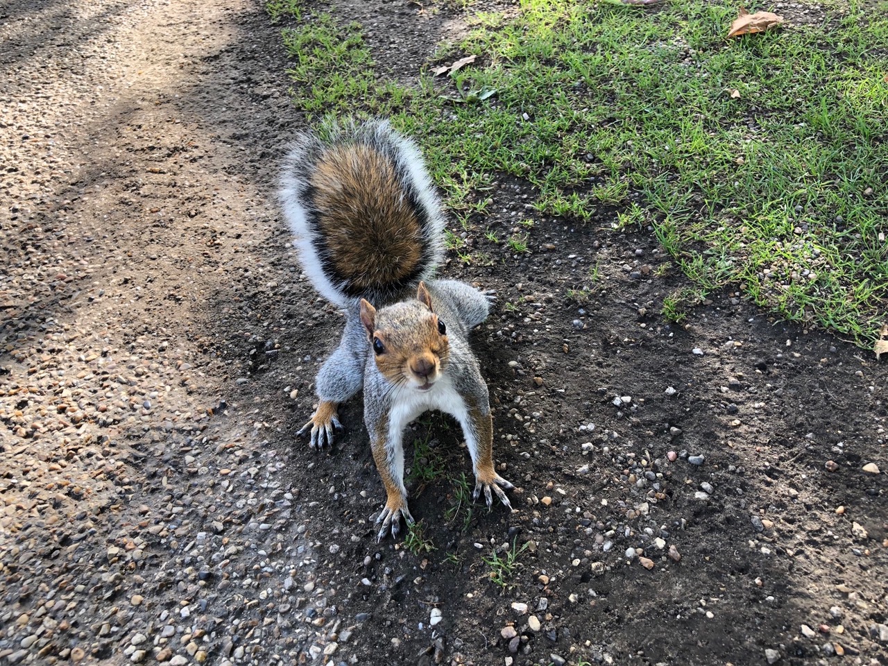 Fwd: Photos from Sheffield			
					</div><!-- .entry-content -->
		
		<footer>
		
		
		
					
					</footer><!-- .entry-meta -->
	</article><!-- #post -->
				
											
				
		
<hr class=