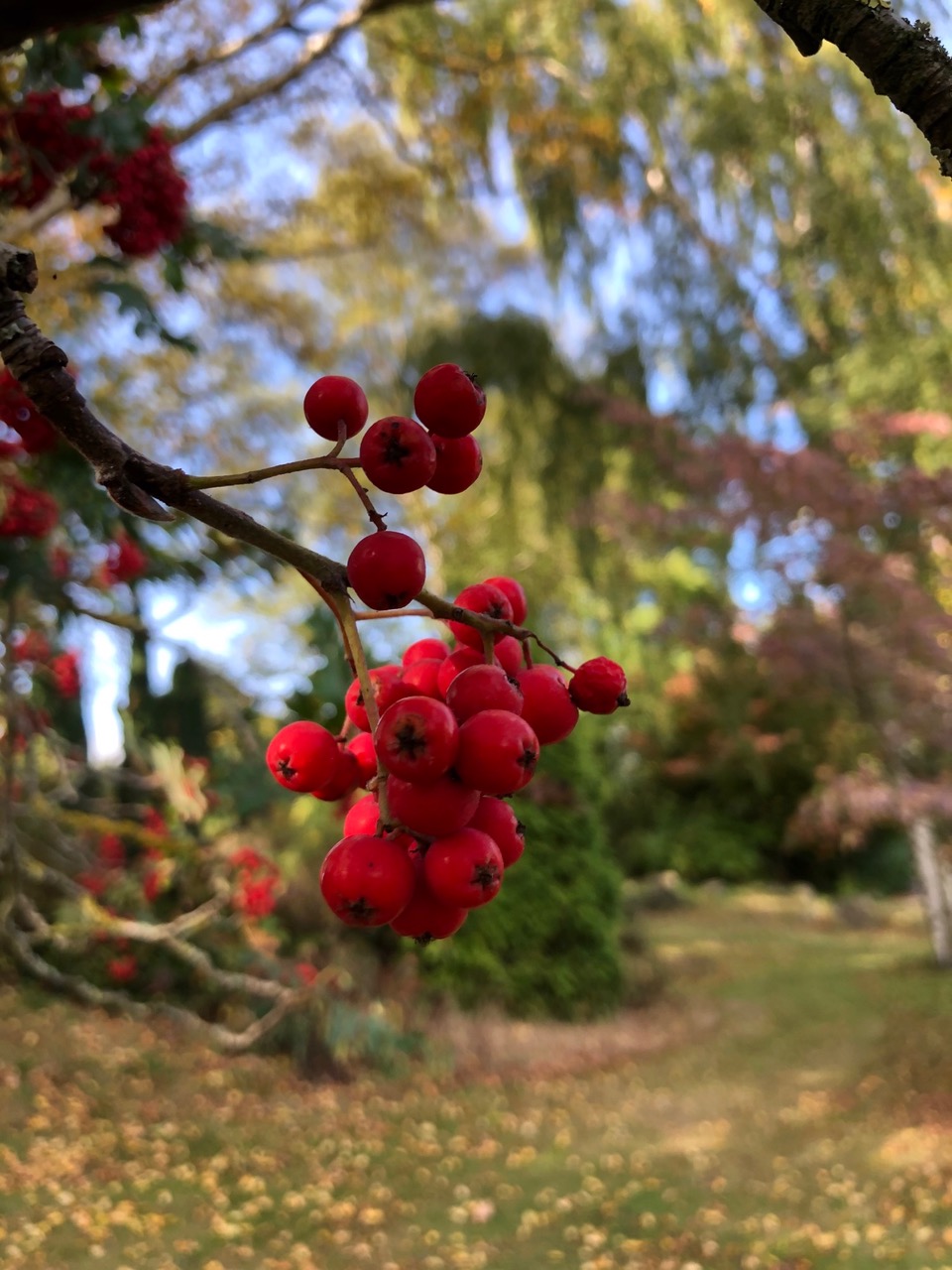 Fwd: Photos from Sheffield			
					</div><!-- .entry-content -->
		
		<footer>
		
		
		
					
					</footer><!-- .entry-meta -->
	</article><!-- #post -->
				
											
				
		
<hr class=