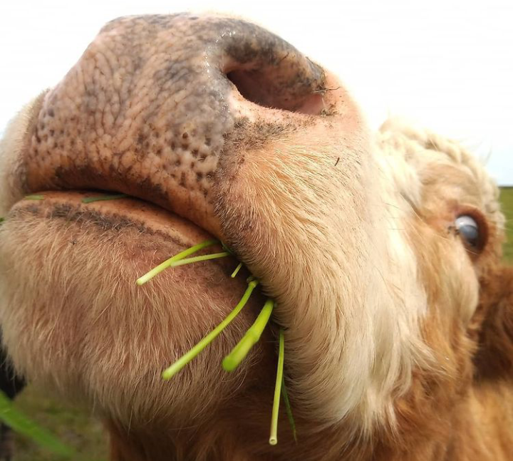 Fwd: Loxley by shona			
					</div><!-- .entry-content -->
		
		<footer>
		
		
		
					
					</footer><!-- .entry-meta -->
	</article><!-- #post -->
				
											
				
		
<hr class=