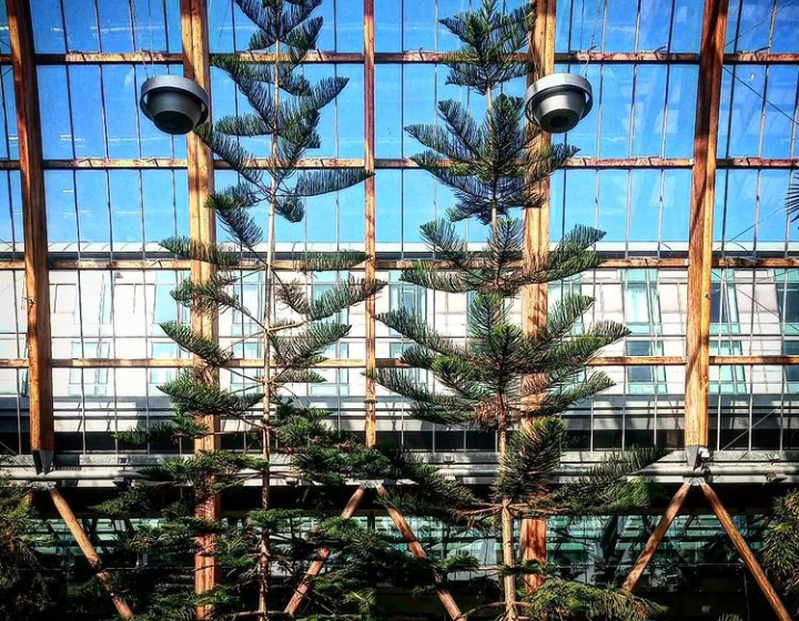 Fwd: Winter gardens by shona			
					</div><!-- .entry-content -->
		
		<footer>
		
		
		
					
					</footer><!-- .entry-meta -->
	</article><!-- #post -->
				
											
				
		
<hr class=