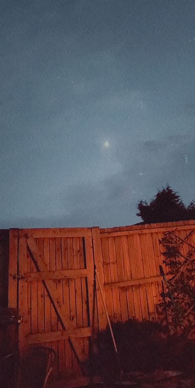 Fwd: By Millie Palmer			
					</div><!-- .entry-content -->
		
		<footer>
		
		
		
					
					</footer><!-- .entry-meta -->
	</article><!-- #post -->
				
											
				
		
<hr class=