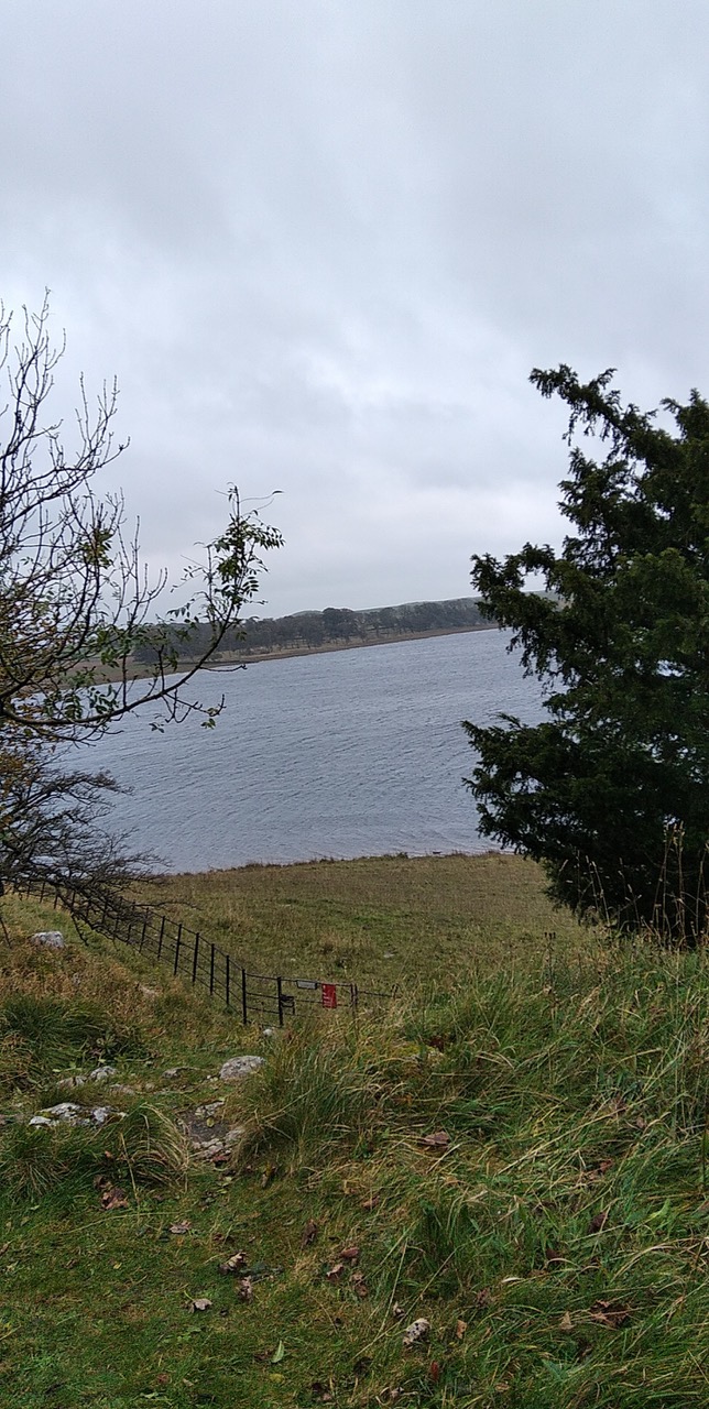 Fwd: Millie Palmer – Malham			
					</div><!-- .entry-content -->
		
		<footer>
		
		
		
					
					</footer><!-- .entry-meta -->
	</article><!-- #post -->
				
											
				
		
<hr class=