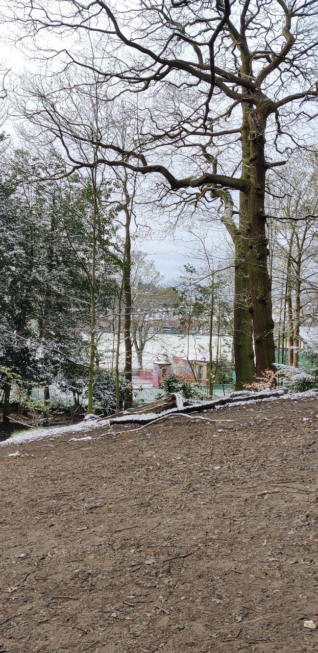 Fwd: Photo			
					</div><!-- .entry-content -->
		
		<footer>
		
		
		
					
					</footer><!-- .entry-meta -->
	</article><!-- #post -->
				
											
				
		
<hr class=