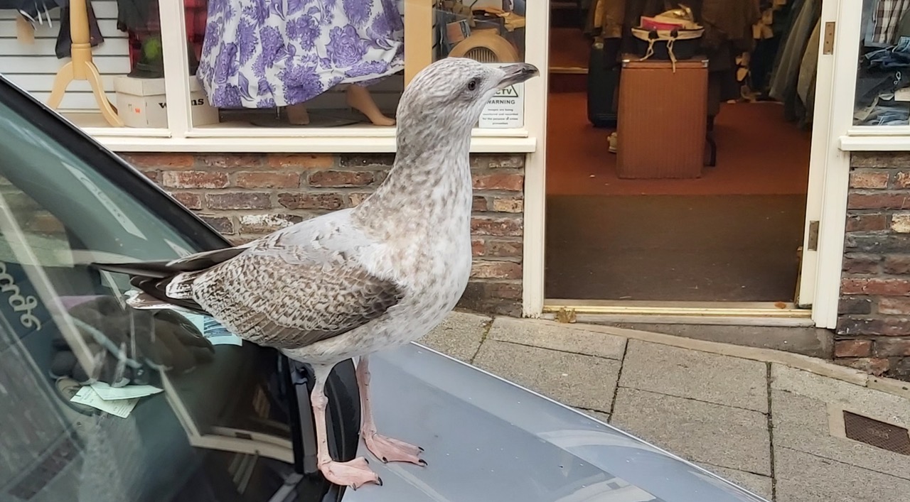 Fwd: Photograph by K Johnson			
					</div><!-- .entry-content -->
		
		<footer>
		
		
		
					
					</footer><!-- .entry-meta -->
	</article><!-- #post -->
				
											
				
		
<hr class=