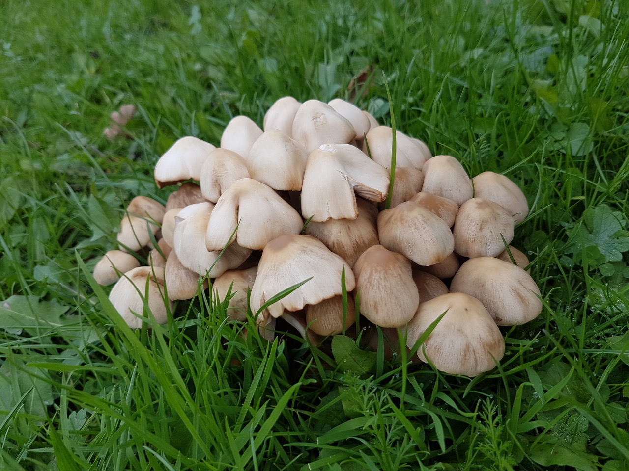 Fwd:			
					</div><!-- .entry-content -->
		
		<footer>
		
		
		
					
					</footer><!-- .entry-meta -->
	</article><!-- #post -->
				
											
				
		
<hr class=