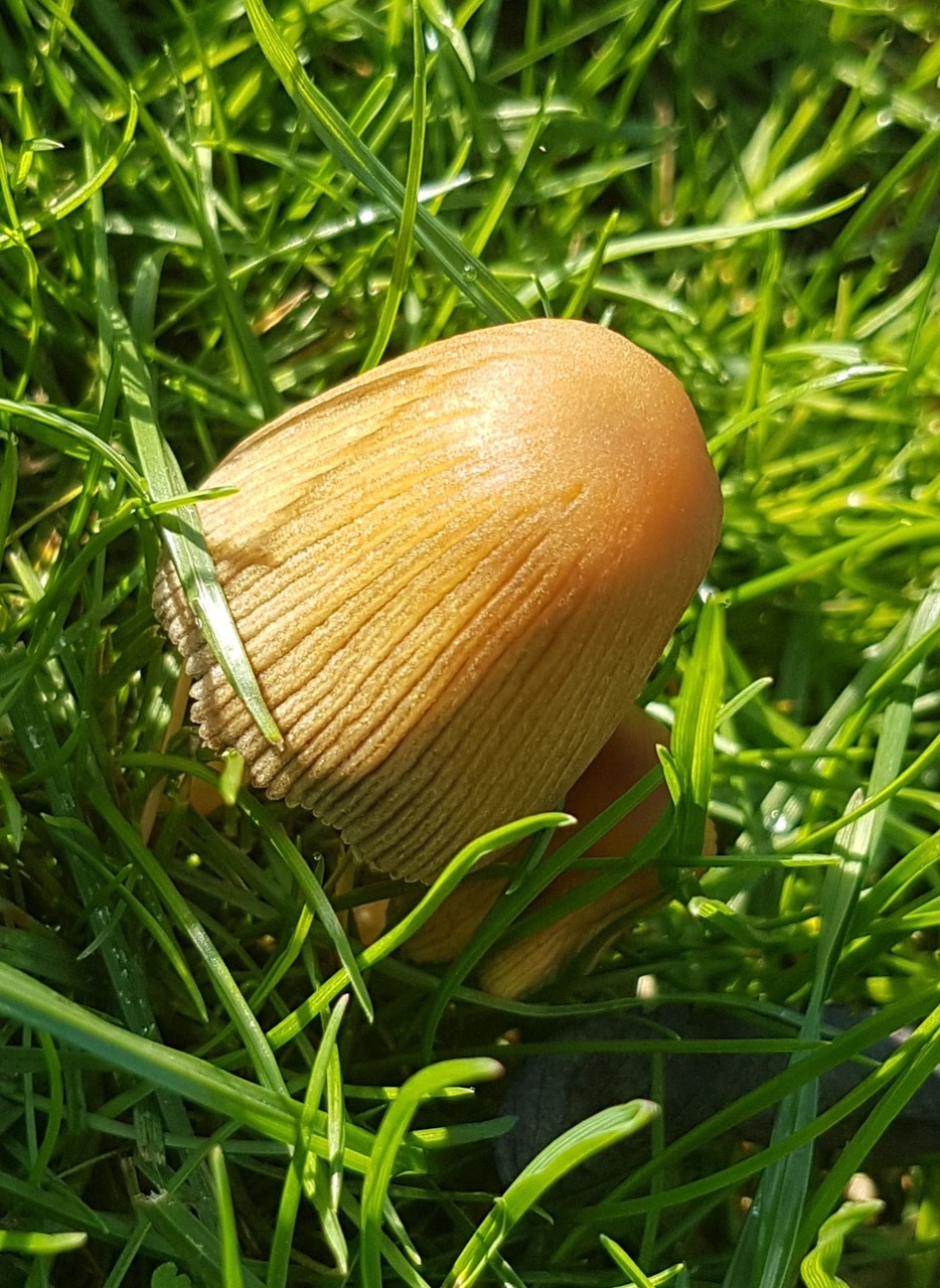 Fwd:			
					</div><!-- .entry-content -->
		
		<footer>
		
		
		
					
					</footer><!-- .entry-meta -->
	</article><!-- #post -->
				
											
				
		
<hr class=