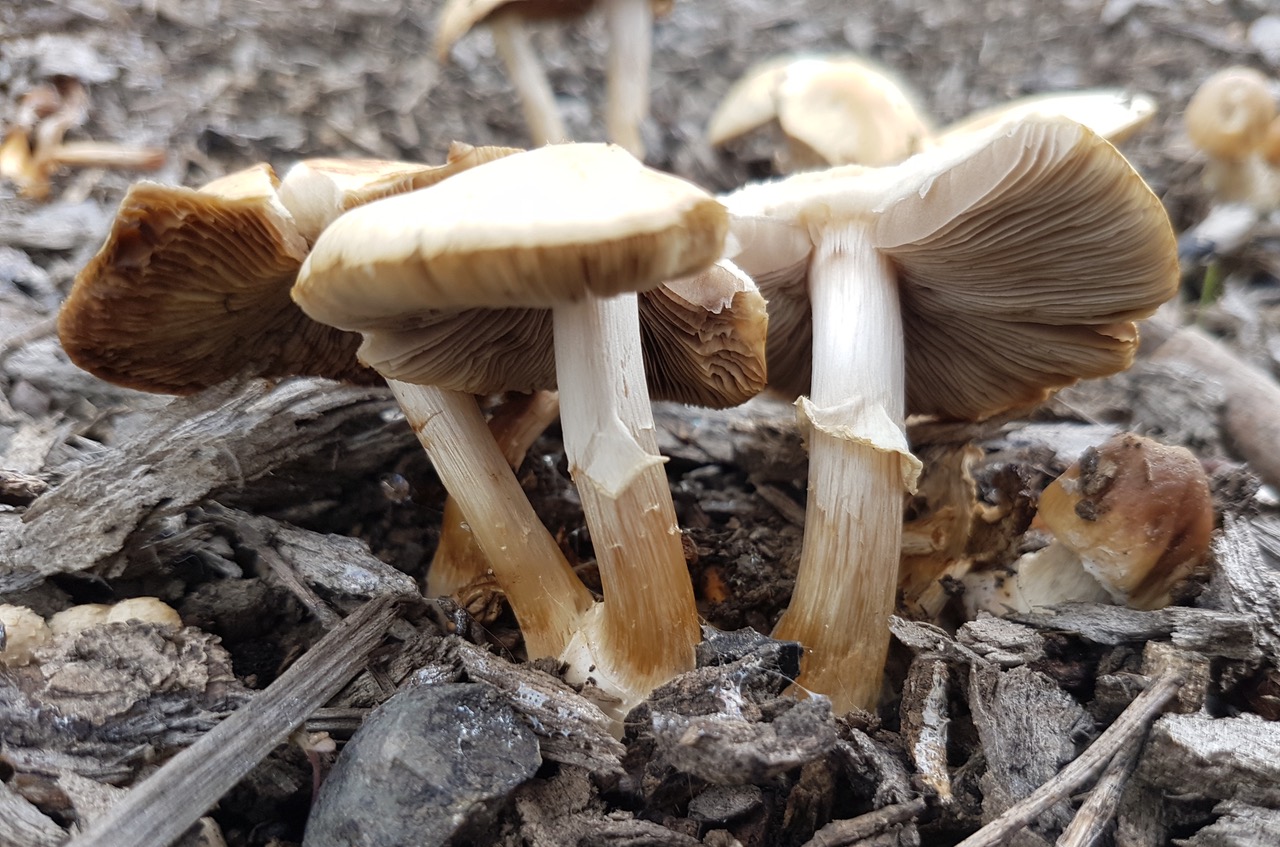 Fwd:			
					</div><!-- .entry-content -->
		
		<footer>
		
		
		
					
					</footer><!-- .entry-meta -->
	</article><!-- #post -->
				
											
				
		
<hr class=