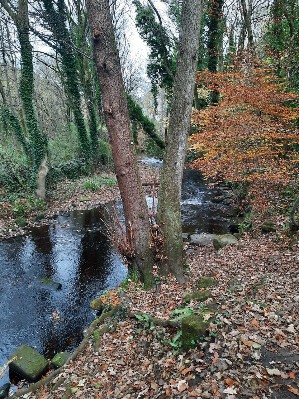 Fwd: Rivelin walk by Kevin Lees			
					</div><!-- .entry-content -->
		
		<footer>
		
		
		
					
					</footer><!-- .entry-meta -->
	</article><!-- #post -->
				
											
				
		
<hr class=