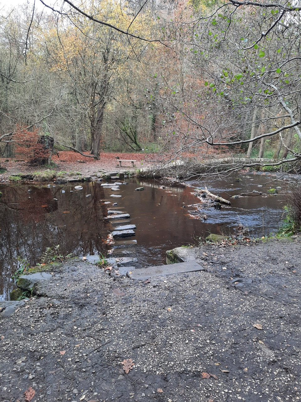 Fwd: Rivelin walk by Kevin Lees			
					</div><!-- .entry-content -->
		
		<footer>
		
		
		
					
					</footer><!-- .entry-meta -->
	</article><!-- #post -->
				
											
				
		
<hr class=