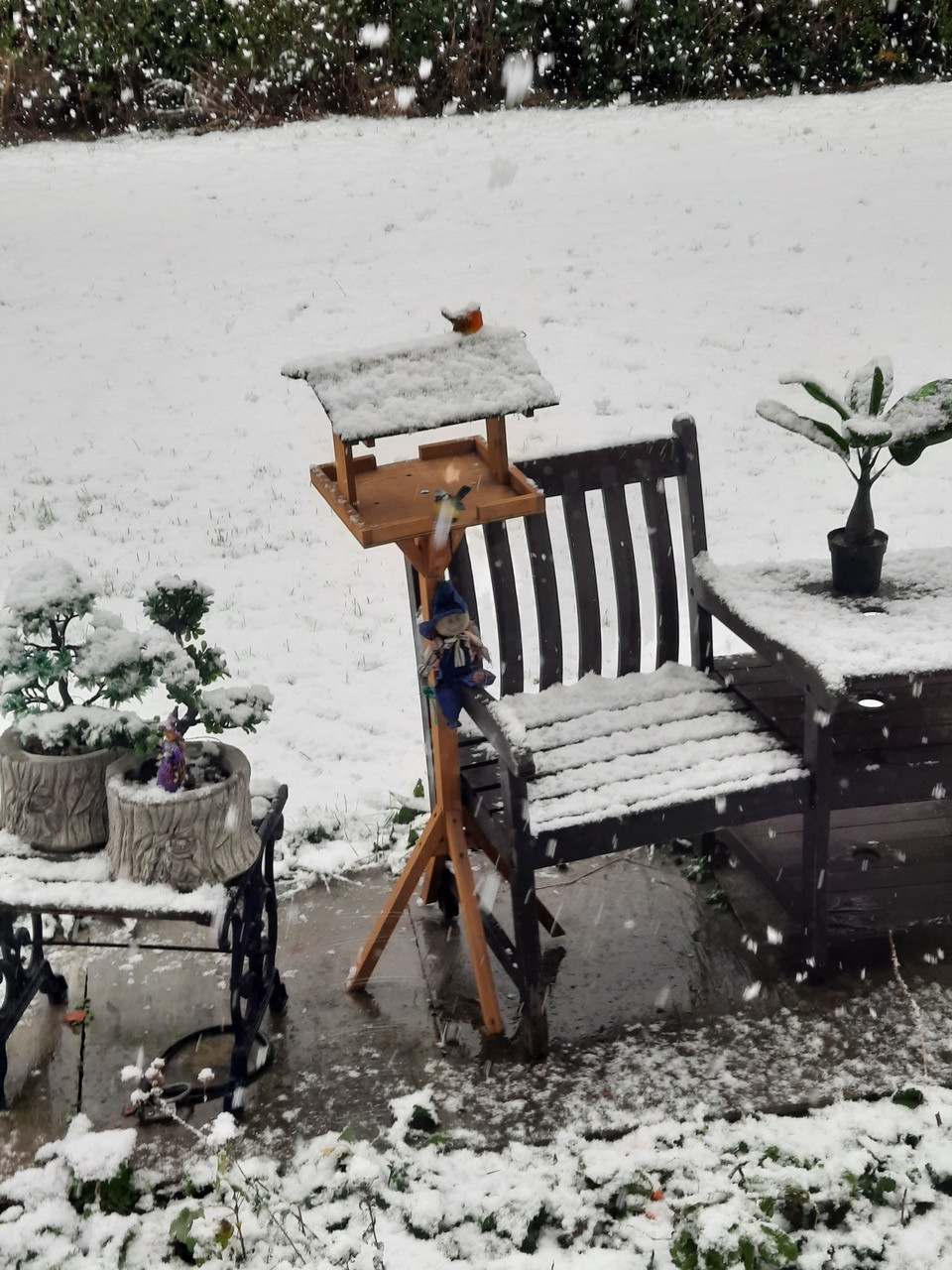 Fwd: Robin by Kevin Lees			
					</div><!-- .entry-content -->
		
		<footer>
		
		
		
					
					</footer><!-- .entry-meta -->
	</article><!-- #post -->
				
											
				
		
<hr class=