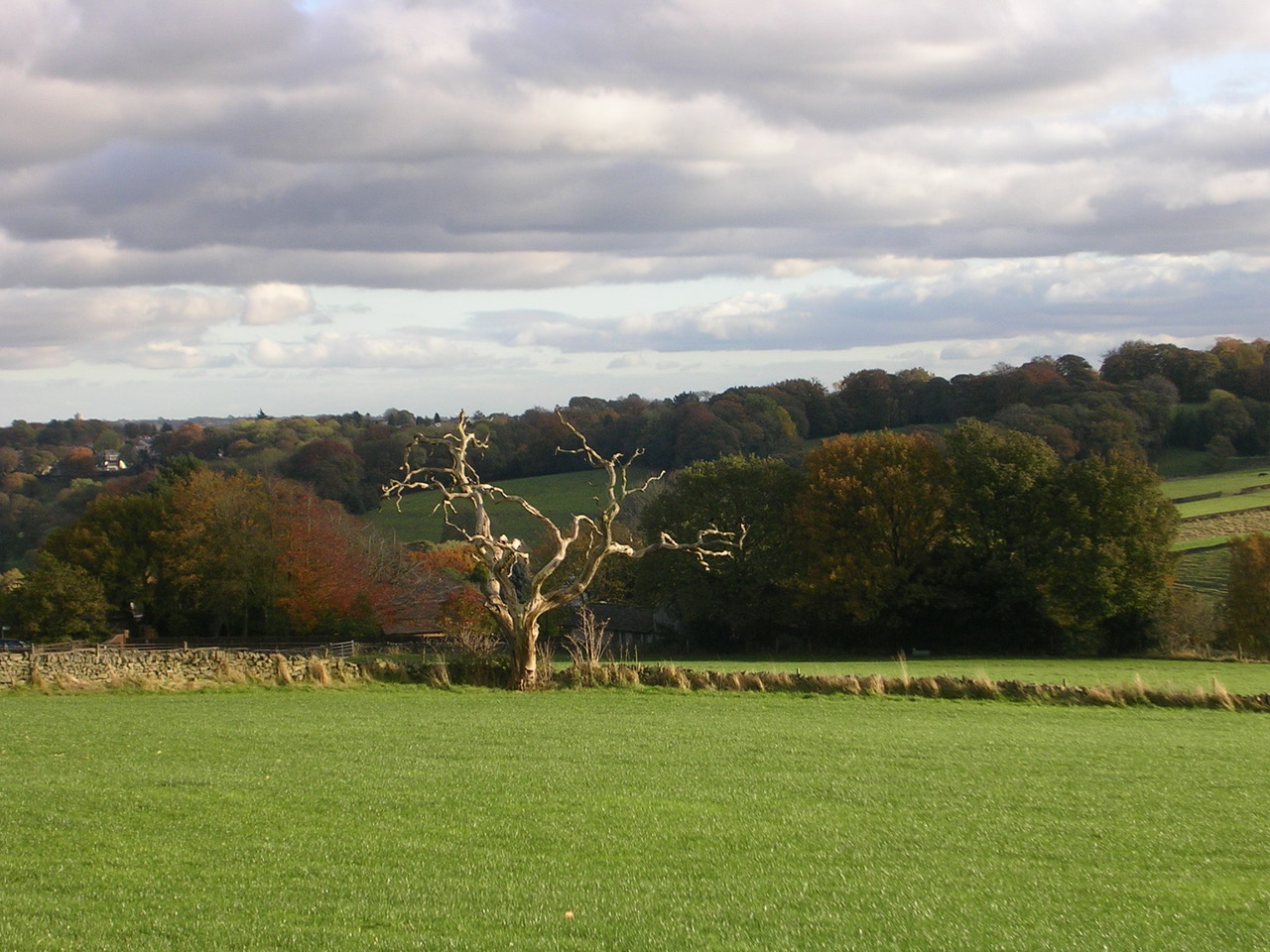 Fwd: School Green Lane			
					</div><!-- .entry-content -->
		
		<footer>
		
		
		
					
					</footer><!-- .entry-meta -->
	</article><!-- #post -->
				
											
				
		
<hr class=