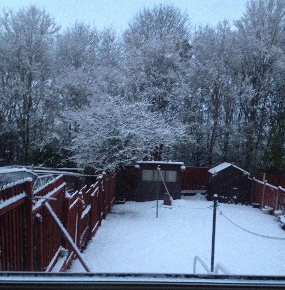 Fwd: Snowy Parson cross s5			
					</div><!-- .entry-content -->
		
		<footer>
		
		
		
					
					</footer><!-- .entry-meta -->
	</article><!-- #post -->
				
											
				
		
<hr class=