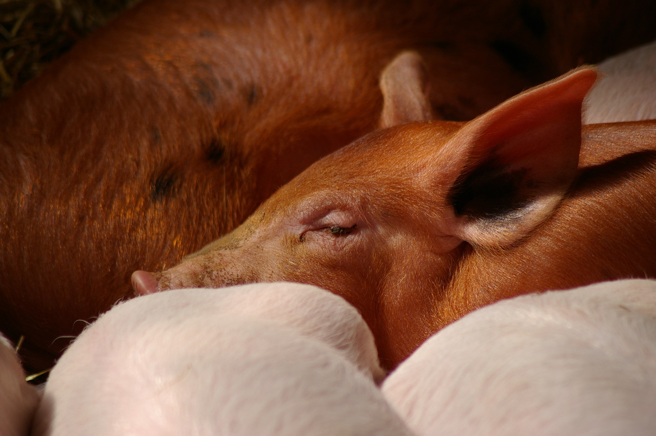 Fwd: Photo of Graves Park, Sheffield			
					</div><!-- .entry-content -->
		
		<footer>
		
		
		
					
					</footer><!-- .entry-meta -->
	</article><!-- #post -->
				
											
				
		
<hr class=