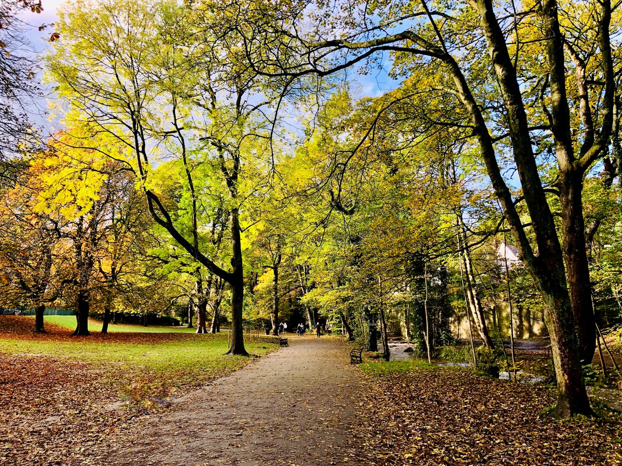 Fwd: Endcliffe Park Sheffield. Keith Bown			
					</div><!-- .entry-content -->
		
		<footer>
		
		
		
					
					</footer><!-- .entry-meta -->
	</article><!-- #post -->
				
											
				
		
<hr class=