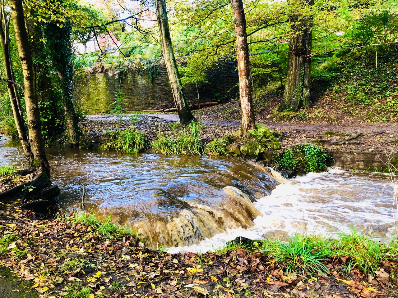 Fwd: Porter Brook Endcliffe Park Sheffield. Keith Bown			
					</div><!-- .entry-content -->
		
		<footer>
		
		
		
					
					</footer><!-- .entry-meta -->
	</article><!-- #post -->
				
											
				
		
<hr class=