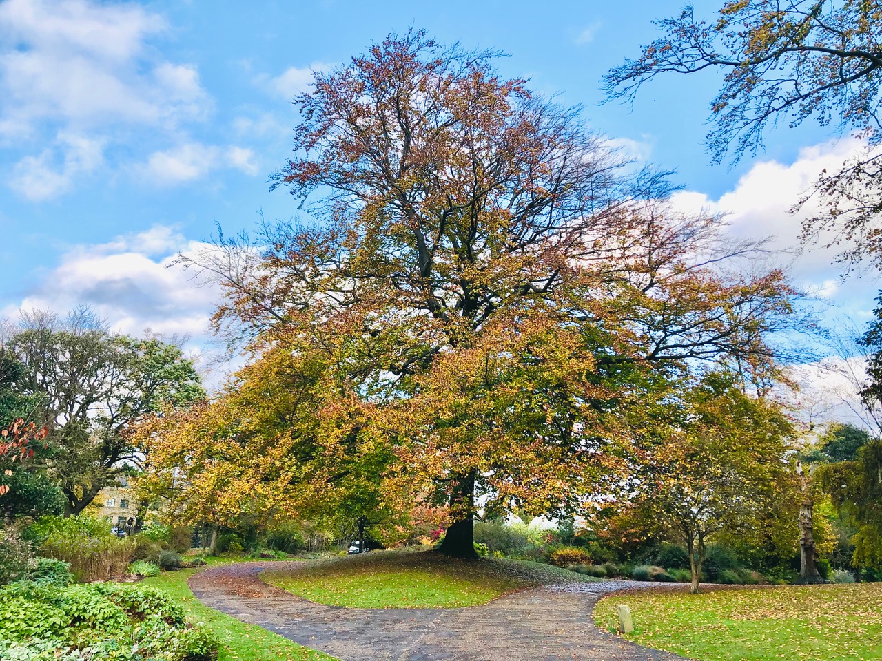 Fwd: Sheffield Botanical Gardens. Keith Bown			
					</div><!-- .entry-content -->
		
		<footer>
		
		
		
					
					</footer><!-- .entry-meta -->
	</article><!-- #post -->
				
											
				
		
<hr class=