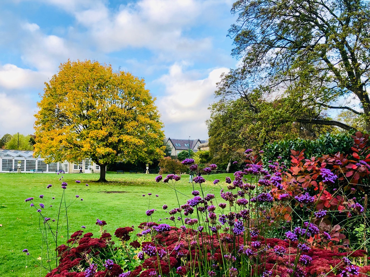 Fwd: Sheffield Botanical Gardens. Keith Bown			
					</div><!-- .entry-content -->
		
		<footer>
		
		
		
					
					</footer><!-- .entry-meta -->
	</article><!-- #post -->
				
											
				
		
<hr class=