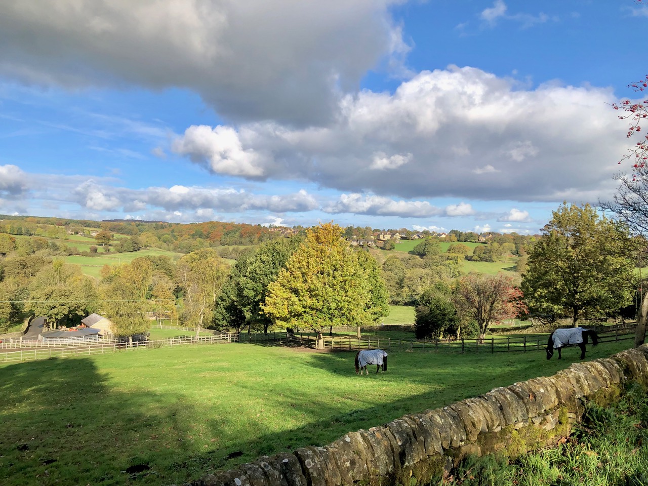 Fwd: Totley Sheffield. Keith Bown			
					</div><!-- .entry-content -->
		
		<footer>
		
		
		
					
					</footer><!-- .entry-meta -->
	</article><!-- #post -->
				
											
				
		
<hr class=