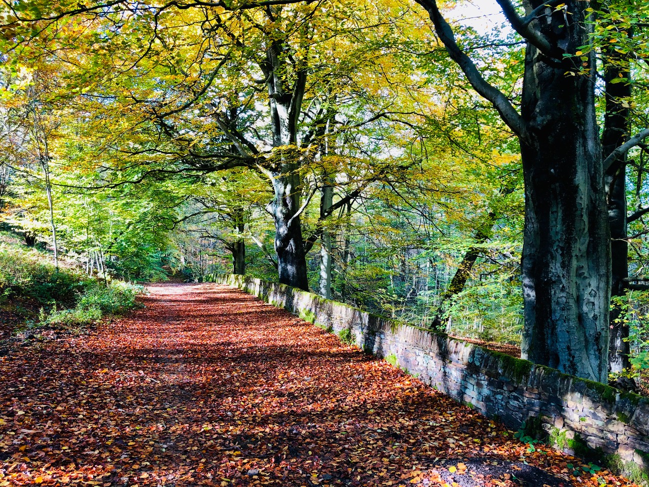 Fwd: Blacka Moor Nature Reserve. Keith Bown			
					</div><!-- .entry-content -->
		
		<footer>
		
		
		
					
					</footer><!-- .entry-meta -->
	</article><!-- #post -->
				
											
				
		
<hr class=
