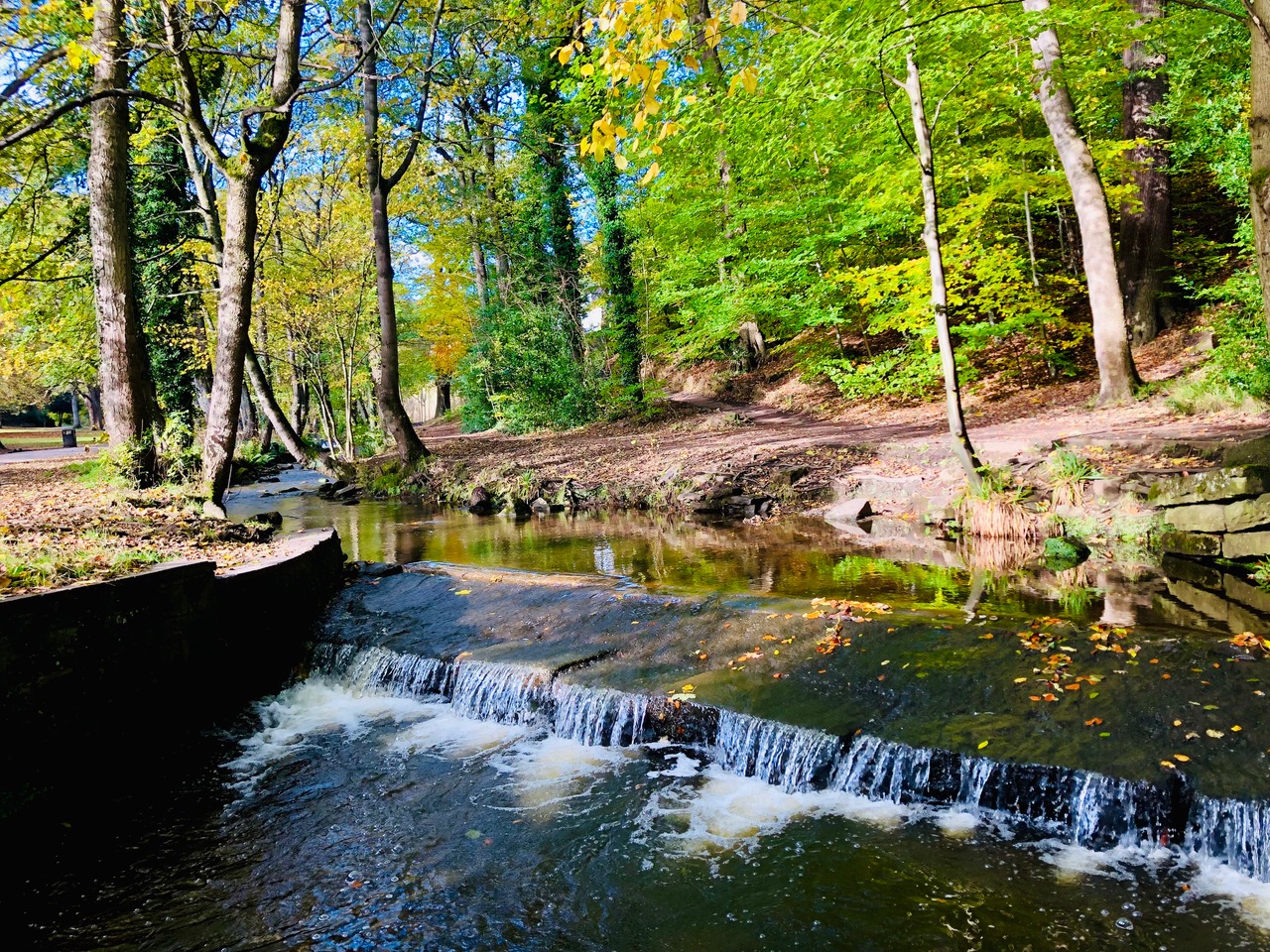 Fwd: Endcliffe Park Sheffield. Keith Bown			
					</div><!-- .entry-content -->
		
		<footer>
		
		
		
					
					</footer><!-- .entry-meta -->
	</article><!-- #post -->
				
											
				
		
<hr class=