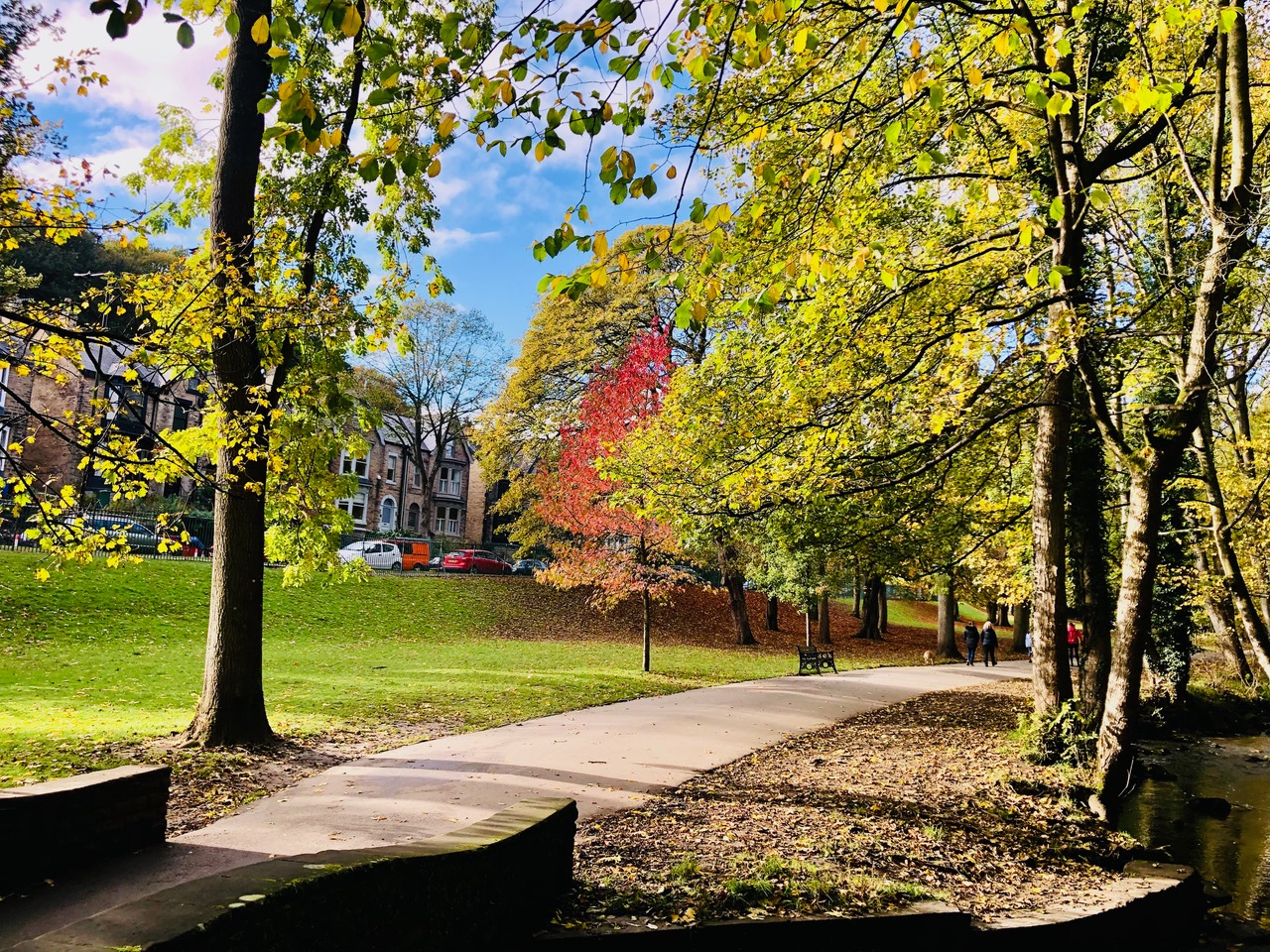 Fwd: Endcliffe Park Sheffield. Keith Bown			
					</div><!-- .entry-content -->
		
		<footer>
		
		
		
					
					</footer><!-- .entry-meta -->
	</article><!-- #post -->
				
											
				
		
<hr class=