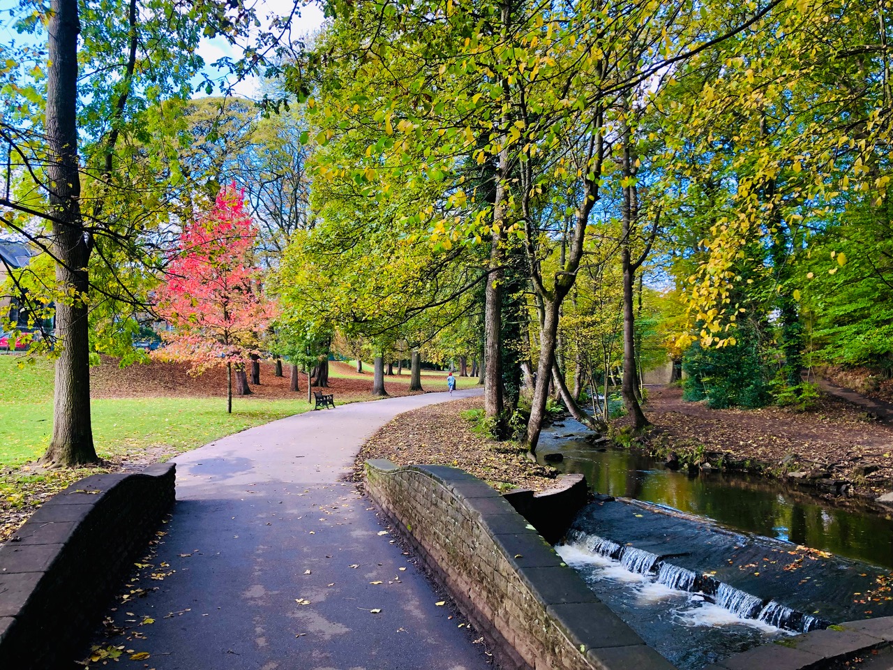 Fwd: Endcliffe Park Sheffield. Keith Bown			
					</div><!-- .entry-content -->
		
		<footer>
		
		
		
					
					</footer><!-- .entry-meta -->
	</article><!-- #post -->
				
											
				
		
<hr class=