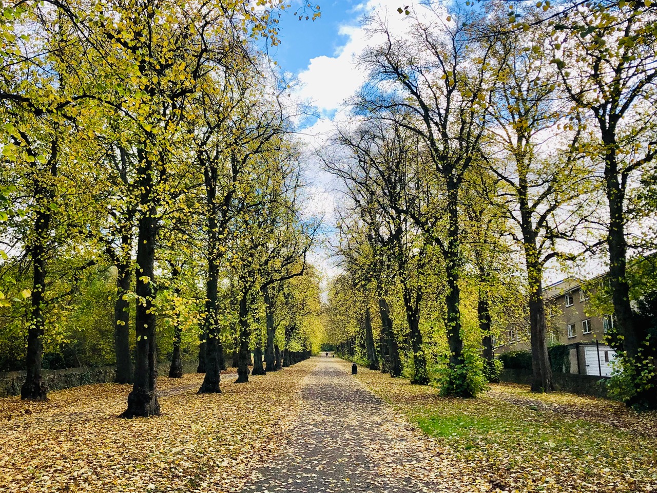 Fwd: Norfolk Park Sheffield. Keith Bown			
					</div><!-- .entry-content -->
		
		<footer>
		
		
		
					
					</footer><!-- .entry-meta -->
	</article><!-- #post -->
				
											
				
		
<hr class=