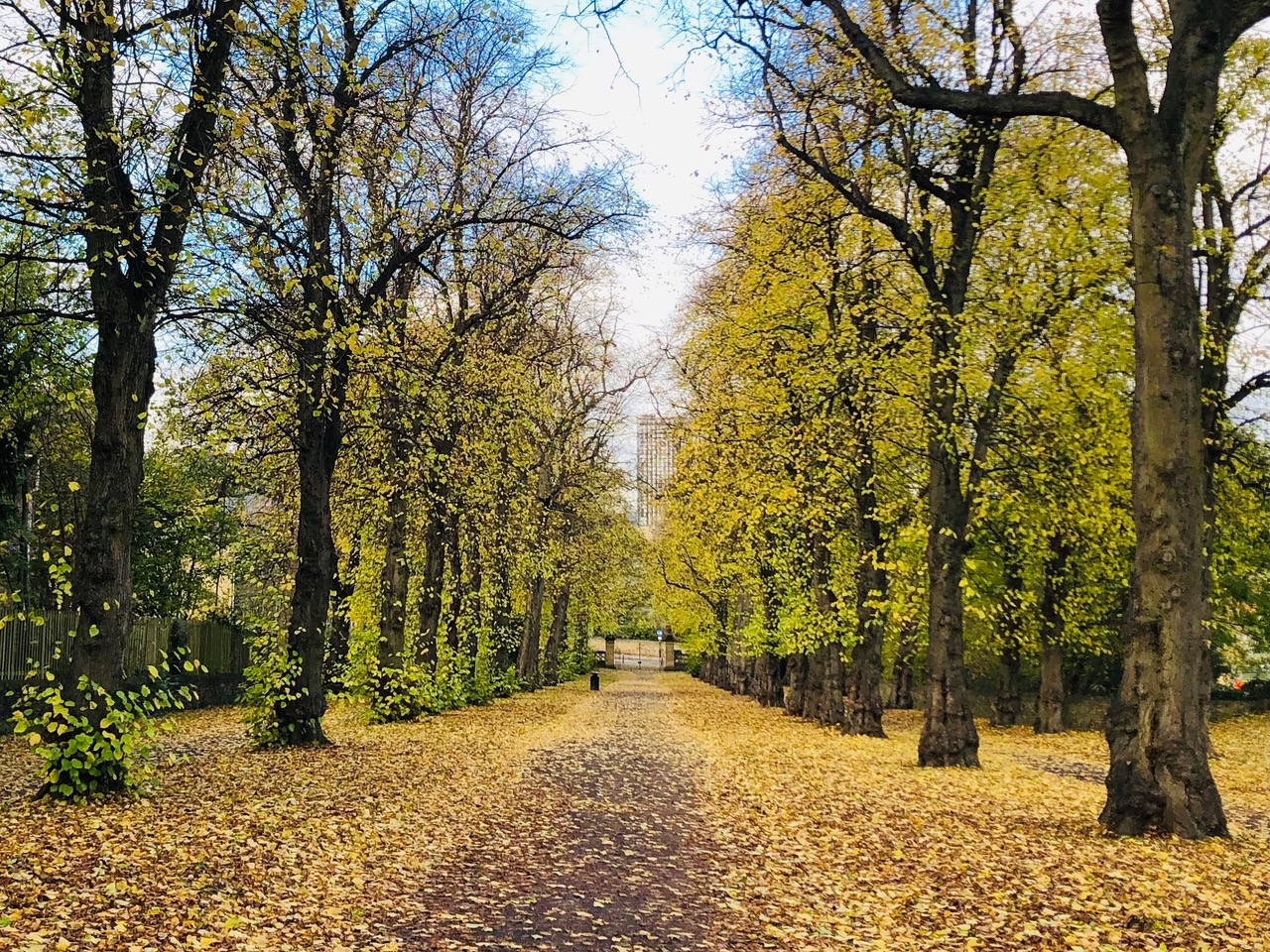 Fwd: Norfolk Park Sheffield. Keith Bown			
					</div><!-- .entry-content -->
		
		<footer>
		
		
		
					
					</footer><!-- .entry-meta -->
	</article><!-- #post -->
				
											
				
		
<hr class=