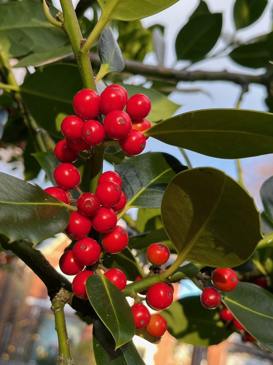 Fwd: Candy Lin /meersbrook park			
					</div><!-- .entry-content -->
		
		<footer>
		
		
		
					
					</footer><!-- .entry-meta -->
	</article><!-- #post -->
				
											
				
		
<hr class=